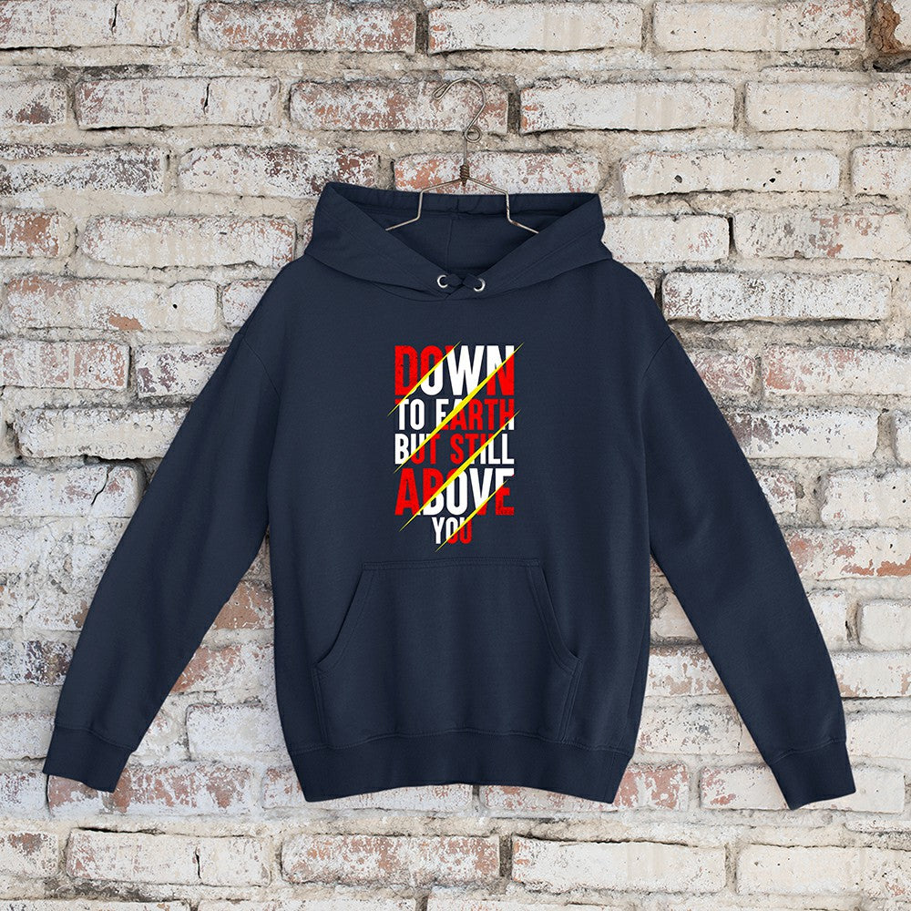 Down To Earth But Still Above You Men Punjabi Hoodie