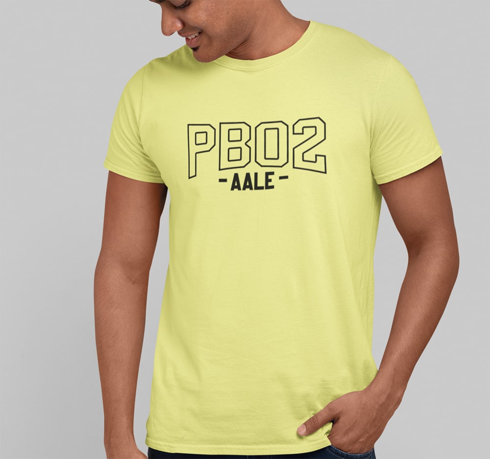 PB 02 Amritsar - Men Punjabi T Shirts