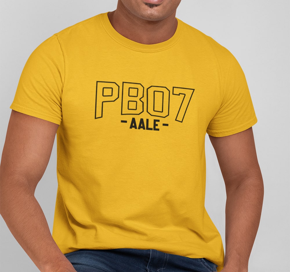 PB 07 Hoshiarpur - Men Punjabi T Shirt