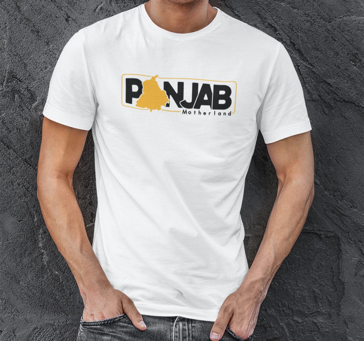 Buy Punjab Motherland Custom Punjabi Printed Tshirt Online for Men ...