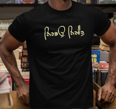 Nirbhau Nirvair T Shirt